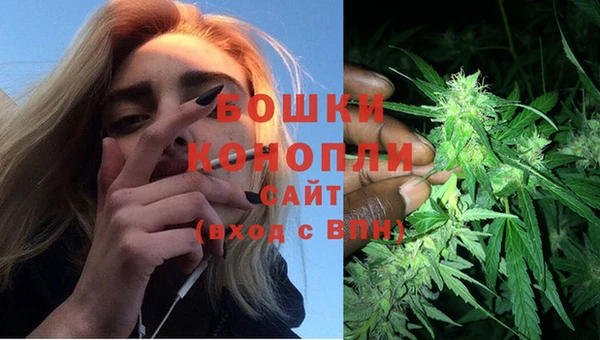 метадон Заволжье