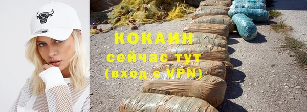 стафф Заводоуковск