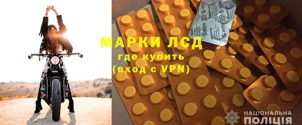 стафф Заводоуковск
