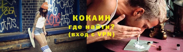 стафф Заводоуковск